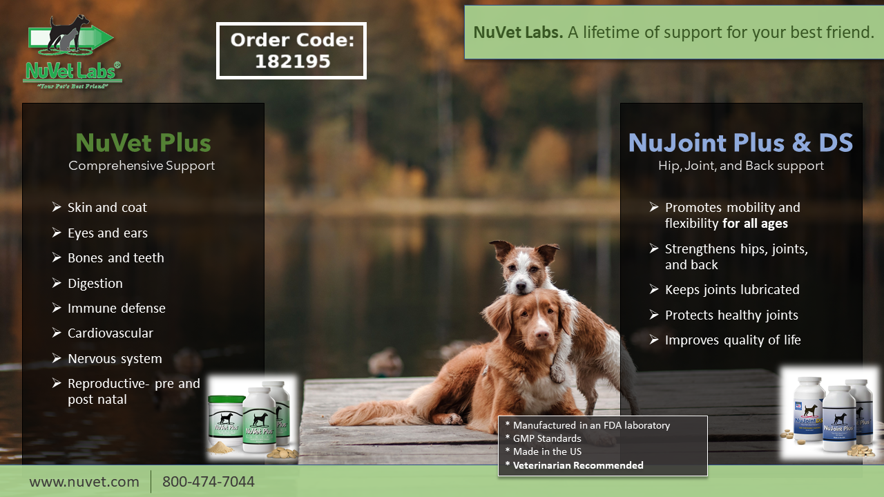 NuVet Lab Supplements